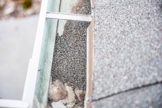 A gutter full of granules is a common sign you are in need of a roof repair. 