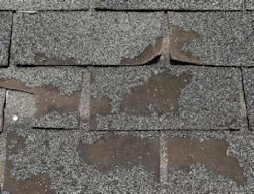 What You Need to Know About Storm Damage On Your Roof