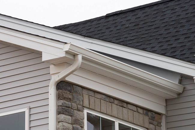 Vinyl gutters are the cheapest option, and they come with an easy installation as well.